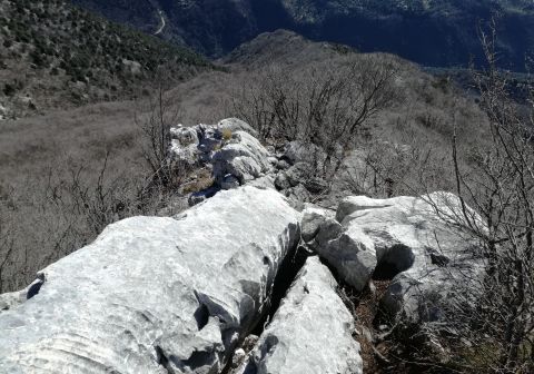 Monte Pizzocolo - Cresta Sud - foto 2