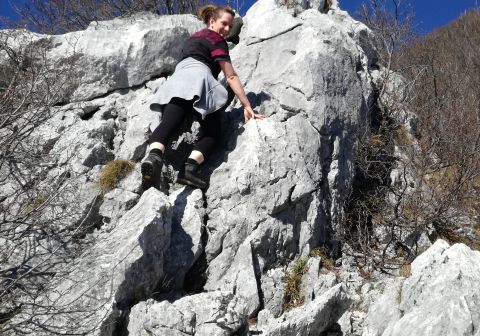 Monte Pizzocolo - Cresta Sud - foto 1