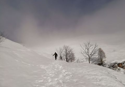 Monte Sasna - foto 7