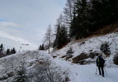 Monte Sasna - foto 2