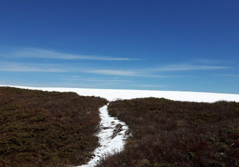 Monte Sillara - foto 23