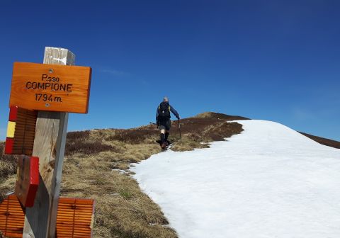 Monte Sillara - foto 14