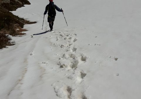 Monte Sillara - foto 24