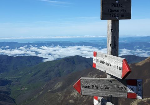 Monte Sillara - foto 5