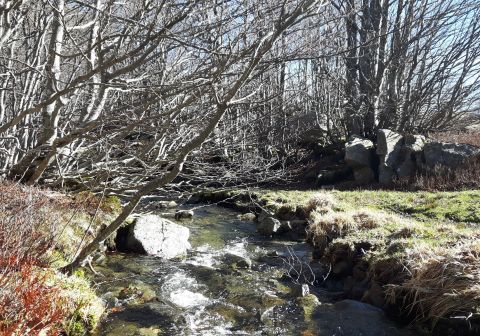 Monte Sillara - foto 1