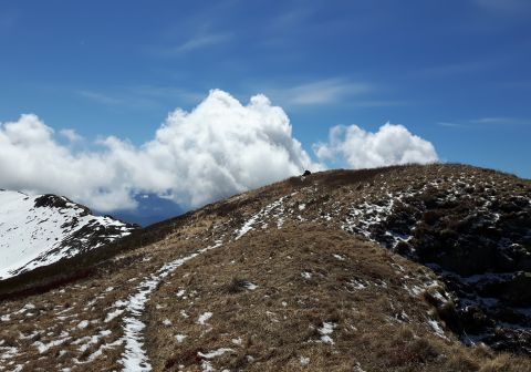 Monte Sillara - foto 17