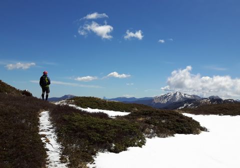 Monte Sillara - foto 22