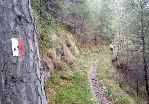 Monte Stino - foto 6
