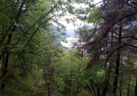 Monte Stino - foto 3