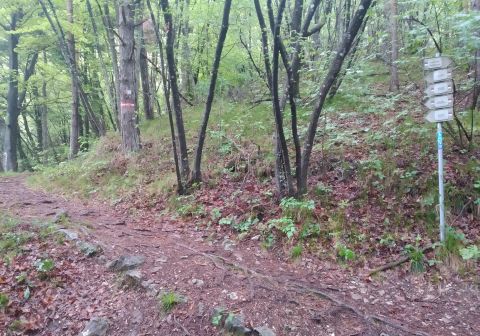 Monte Stino - foto 2