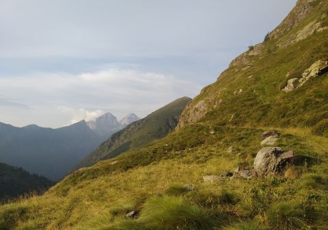 Monte Tre Confini (Venerocolo) - foto 3