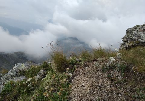 Monte Tre Confini (Venerocolo) - foto 15