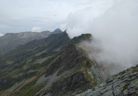 Monte Tre Confini (Venerocolo) - foto 13