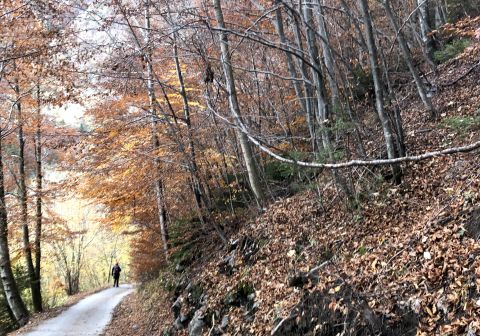 Monte Vigna Vaga - foto 24