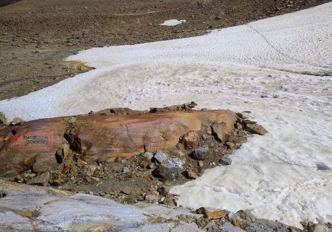 Palla Bianca (Weisskugel) dalla Val Mazia - foto 8