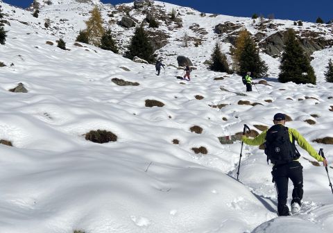 Pian della Regina da Malga Casentia - foto 6