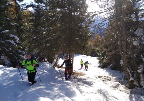 Pian della Regina da Malga Casentia - foto 3