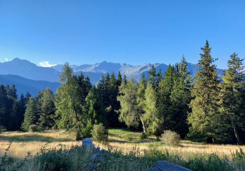 Pian della Regina da Malga Casentia - foto 9