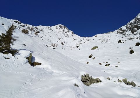 Pian della Regina da Malga Casentia - foto 7