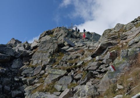 Pian della Regina da Malga Casentia - foto 11