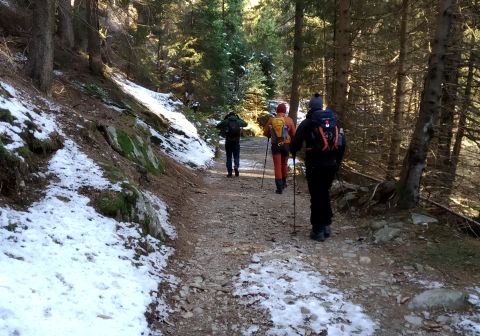 Pian della Regina da Malga Casentia - foto 1