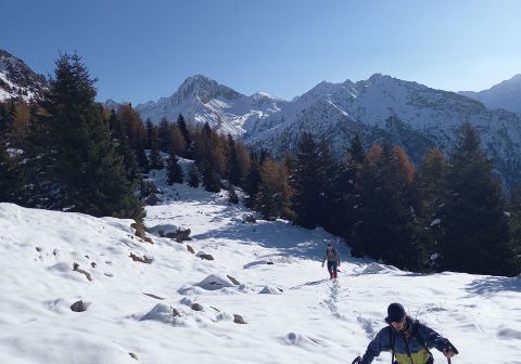 Pian della Regina da Malga Casentia - foto 4