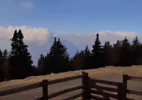 Pian della Regina da Malga Corte - foto 1