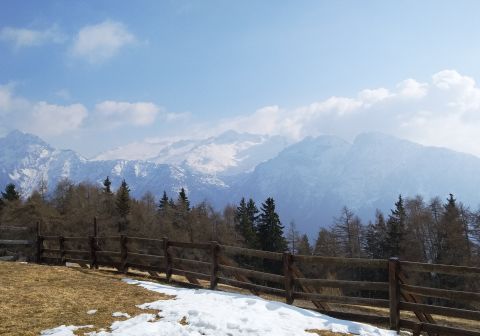 Pian della Regina da Malga Corte - foto 12