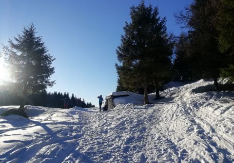Piz Tri - foto 5