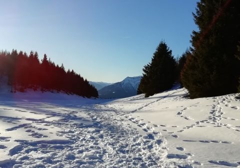 Piz Tri - foto 4