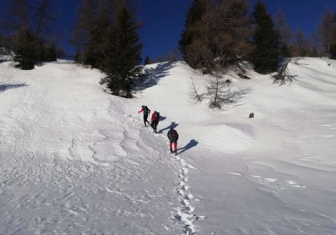 Piz Tri - foto 8