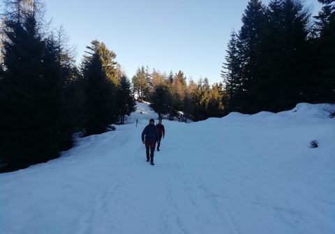 Piz Tri - foto 3