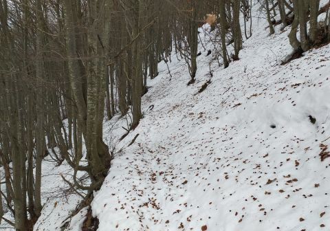 Pizzo Baciamorti - foto 18
