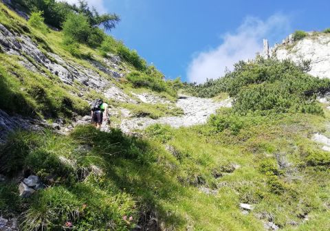 Pizzo Badile Camuno - foto 8