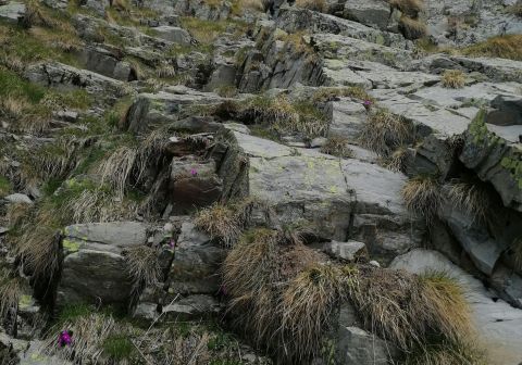 Pizzo Cigola - foto 20