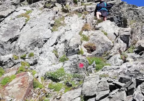 Pizzo Coca - foto 15