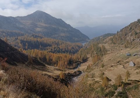 Pizzo del Becco - foto 25