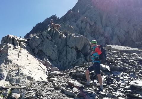 Pizzo del Diavolo di Tenda - foto 13