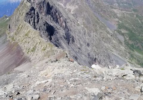 Pizzo del Diavolo di Tenda - foto 14
