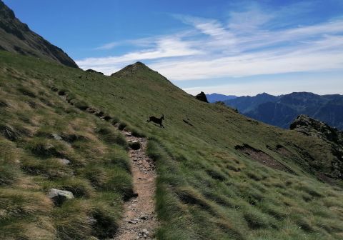 Pizzo Tre Signori - foto 7
