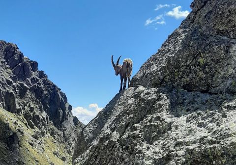 Pizzo Tre Signori - foto 17