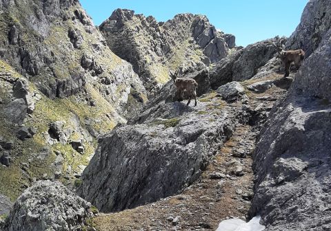 Pizzo Tre Signori - foto 15