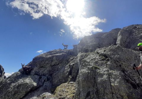 Pizzo Tre Signori - foto 16