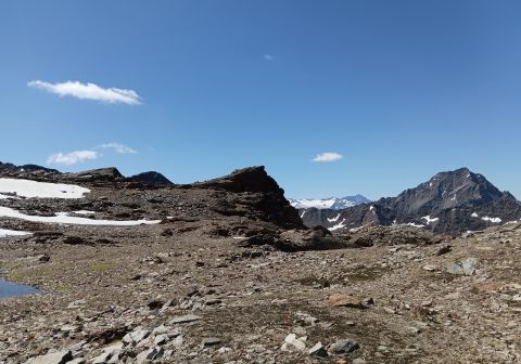 In fondo: vedretta del Pisgana e la parete nord dell'Adamello