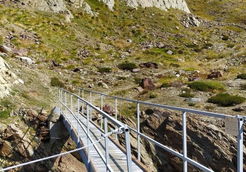 Pizzo Tresero_24