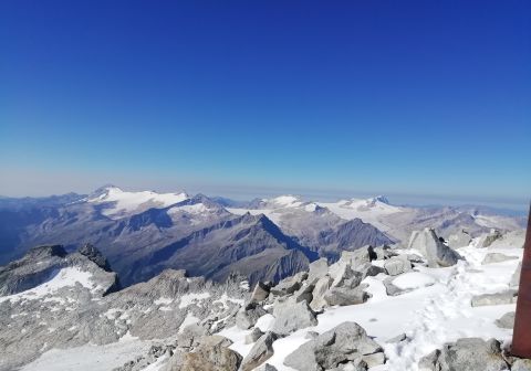 Cima Presanella dal Rifugio Segantini - foto 20