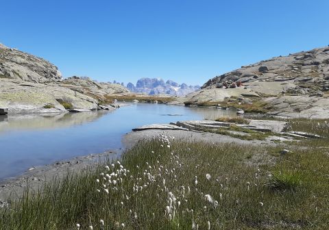 Cima Presanella dal Rifugio Segantini - foto 28