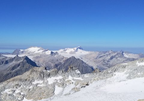 Cima Presanella dal Rifugio Segantini - foto 16