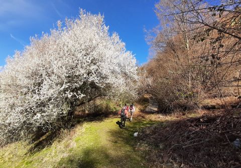 Punta Almana da Gardone Val Trompia - foto 7