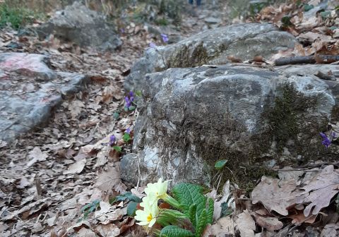 Punta Almana da Gardone Val Trompia - foto 3
